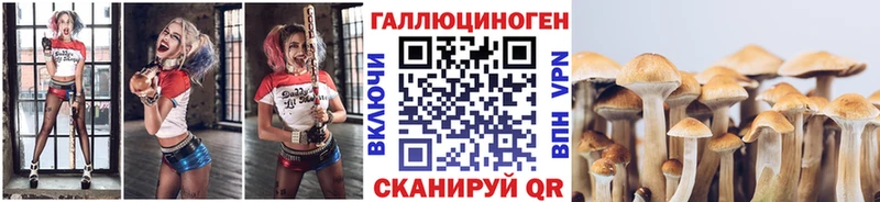 Псилоцибиновые грибы мухоморы  купить   OMG   Химки 