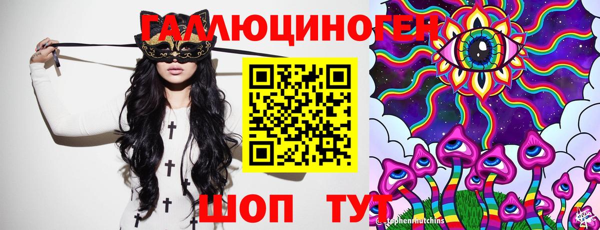 Псилоцибиновые грибы Cubensis  Вход с VPN  Химки 